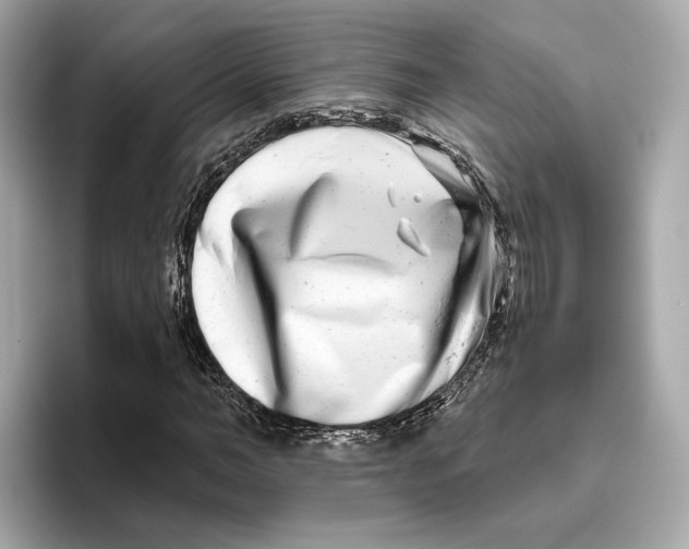 X0000096450966200802141509