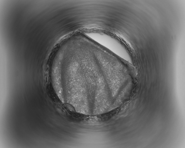 X0000096450968200802141509