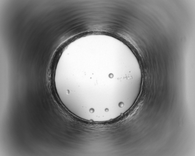 X0000096450971200802141509