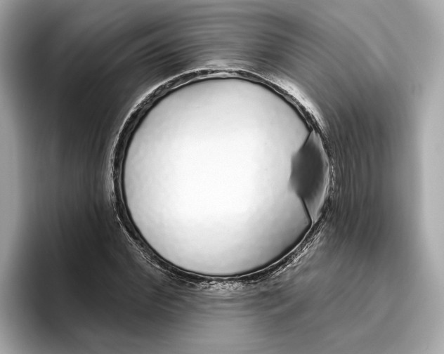 X0000096450972200802141509