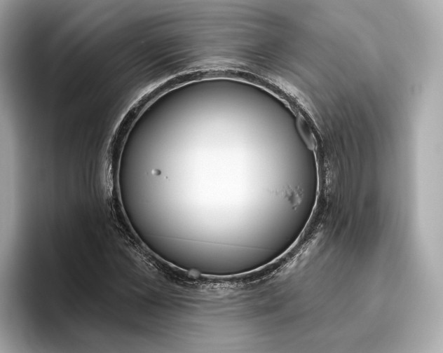 X0000096450973200802141509