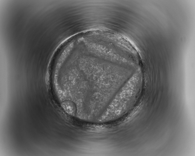 X0000096450975200802141509