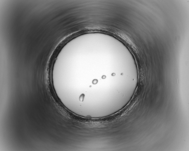 X0000096450976200802141509