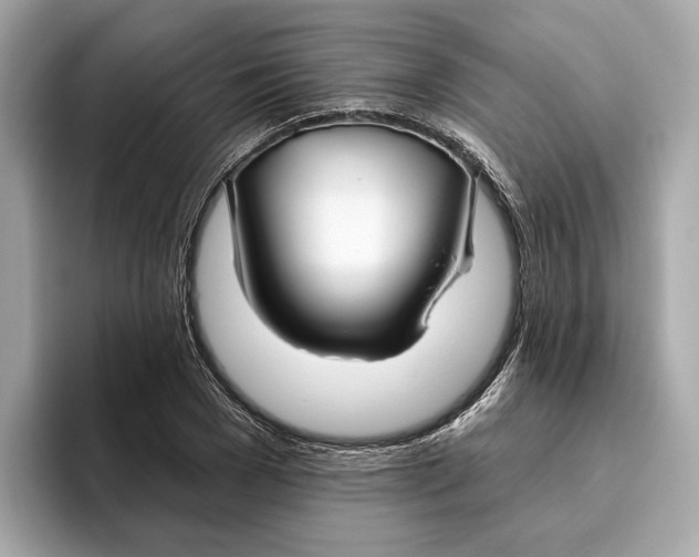 X0000096450977200802141509