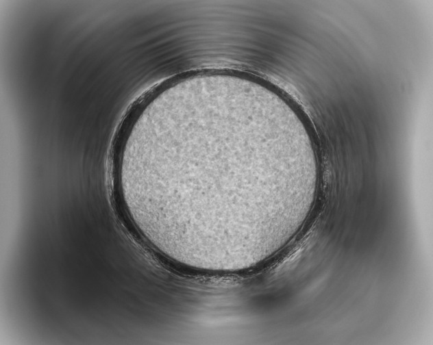 X0000096450979200802141509