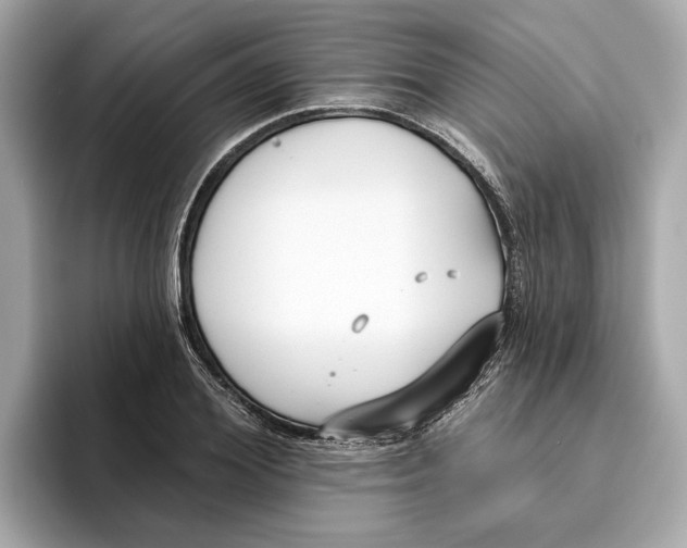 X0000096450980200802141509