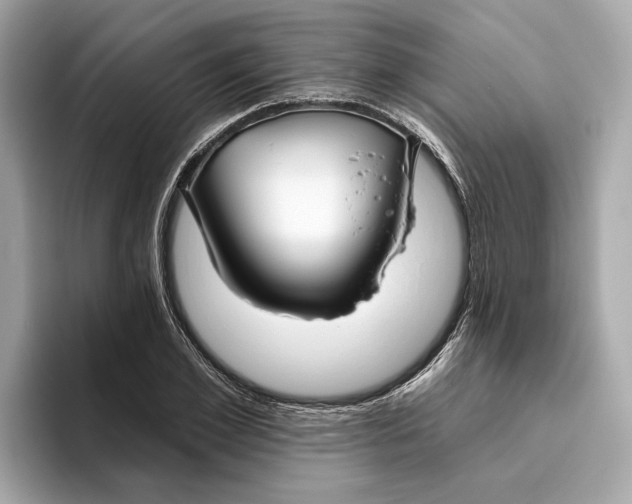 X0000096450981200802141509