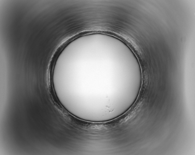 X0000096450982200802141509