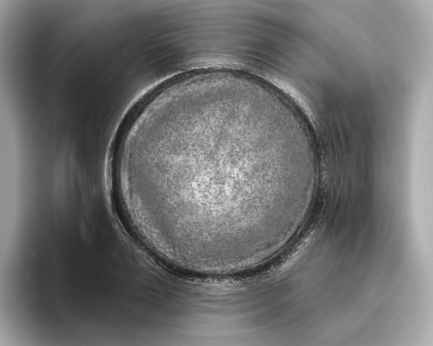 X0000096450983200802141509