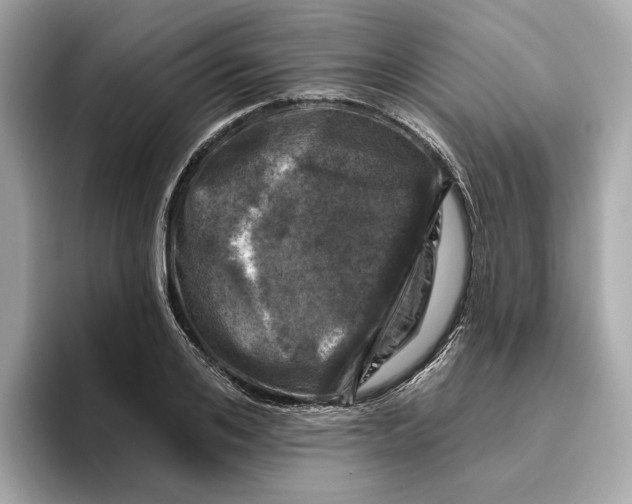 X0000096450984200802141509