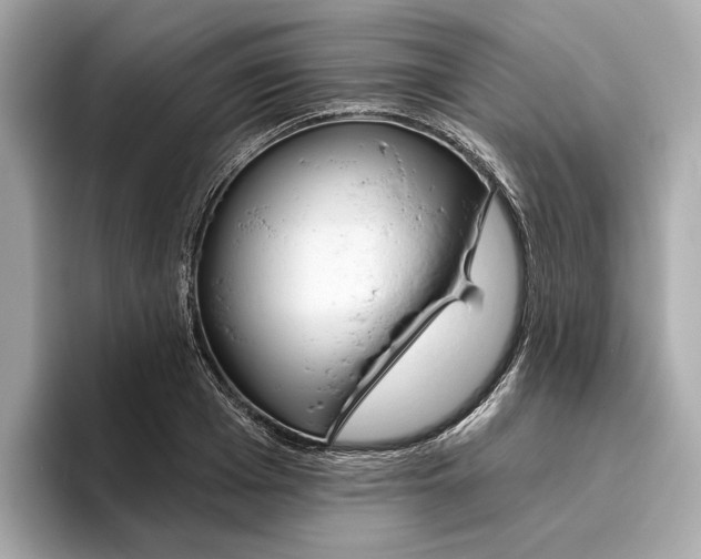 X0000096450985200802141509