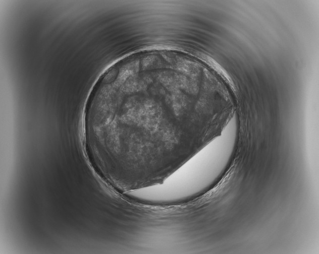 X0000096450988200802141508