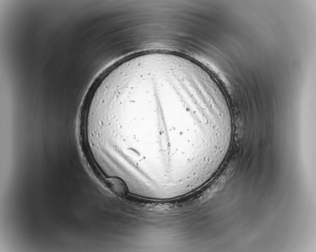 X0000096450991200802141508