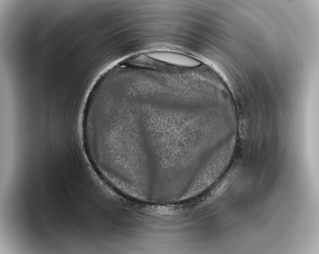 X0000096450995200802141508