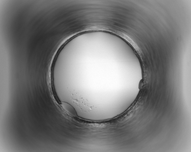 X0000096450996200802141508