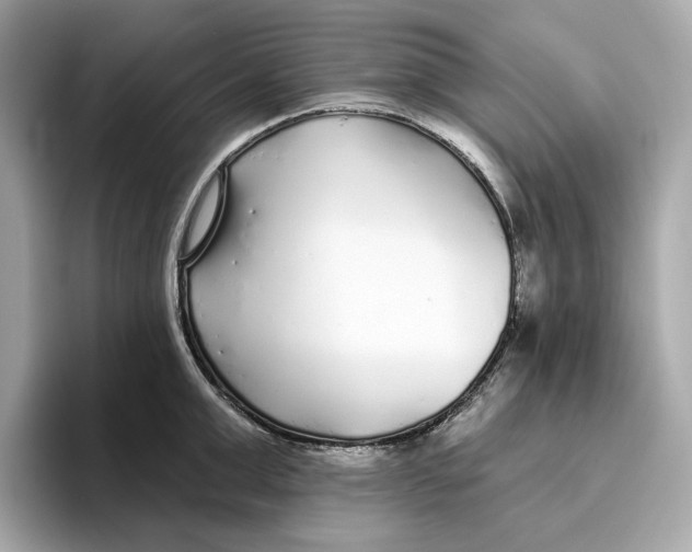 X0000096450999200802141508