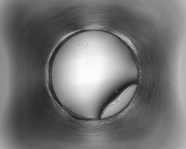 X0000096451000200802141508