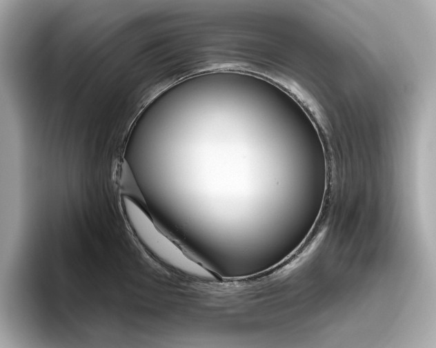 X0000096451001200802141508