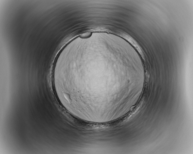 X0000096451002200802141508