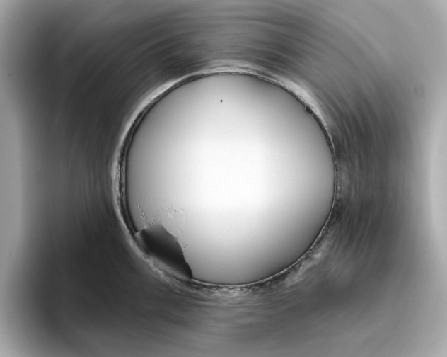 X0000096451003200802141508