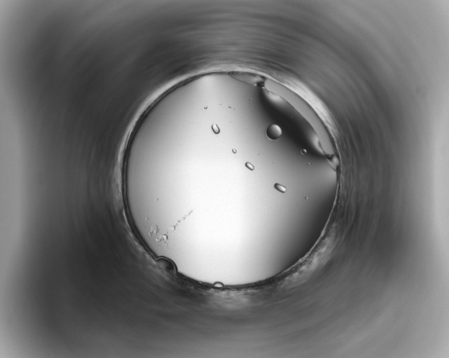 X0000096451004200802141508