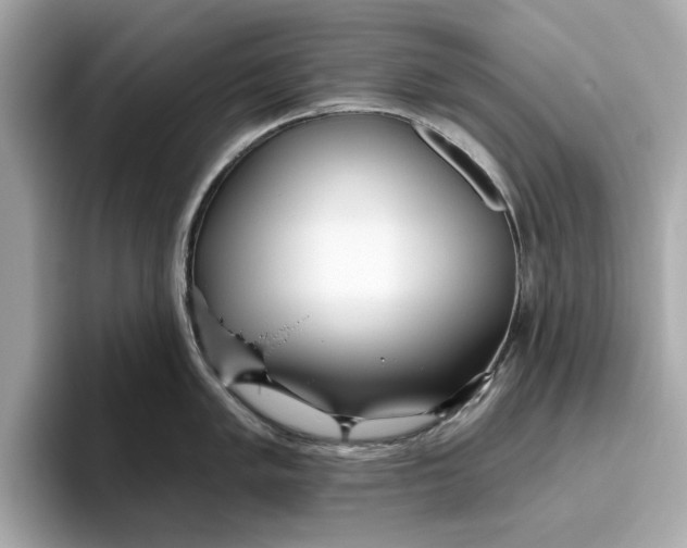 X0000096451005200802141508