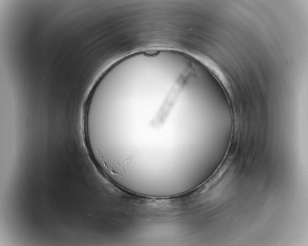 X0000096451006200802141508