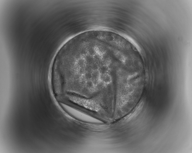 X0000096451007200802141508