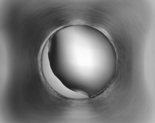 X0000096451008200802141508