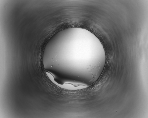 X0000096451010200802141508