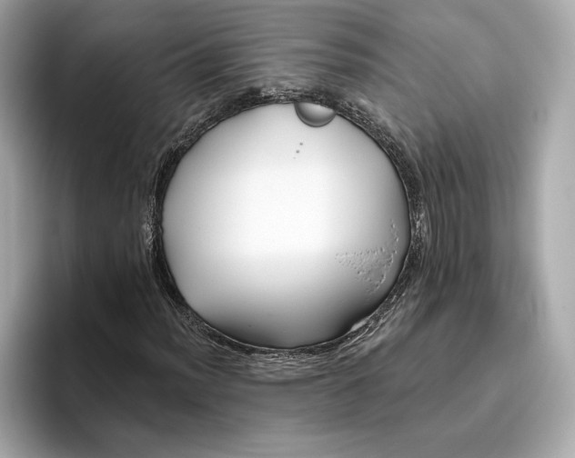 X0000096451012200802141508