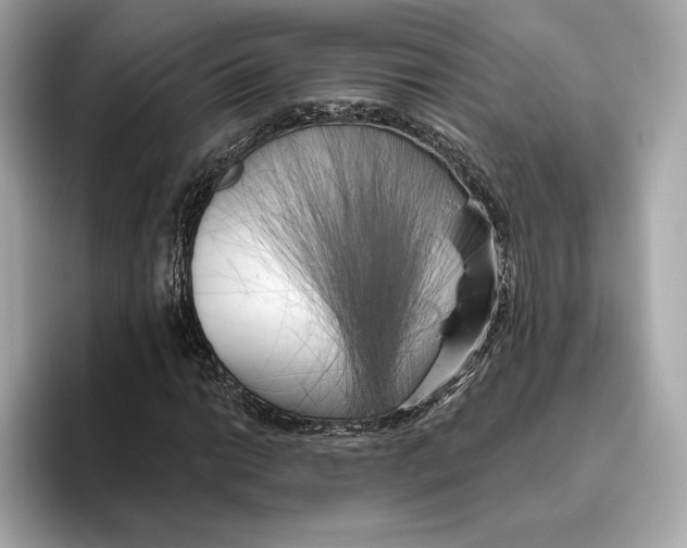 X0000096451014200802141508