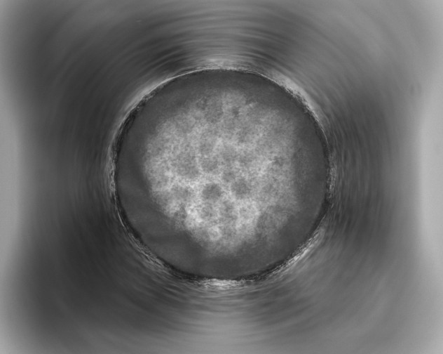 X0000096451019200802141508