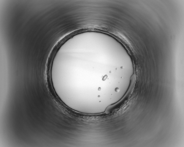 X0000096451020200802141508