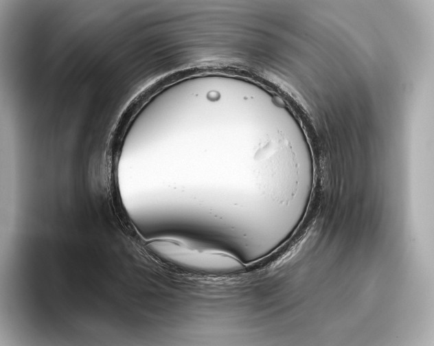 X0000096451021200802141508