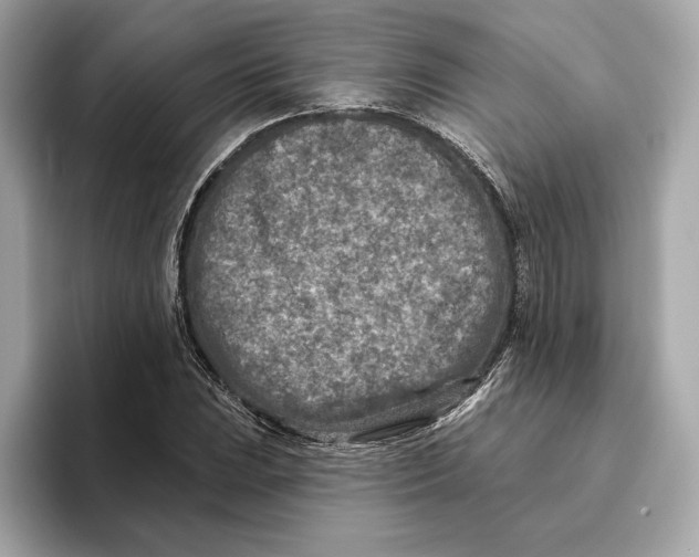 X0000096451023200802141508