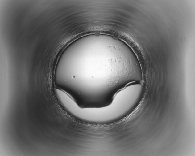 X0000096451025200802141508