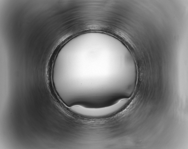 X0000096451026200802141508