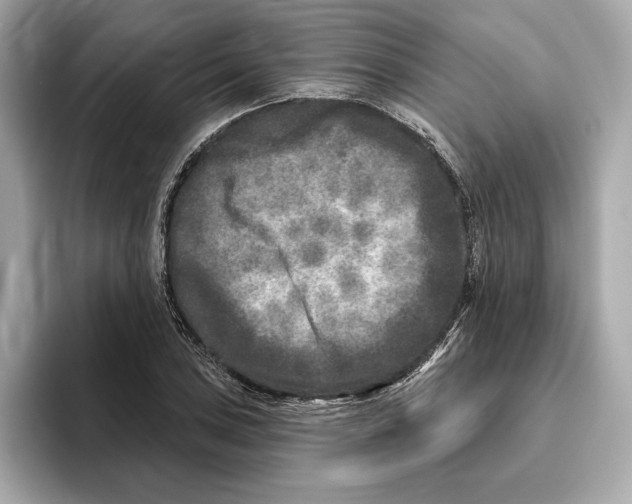 X0000096451027200802141508