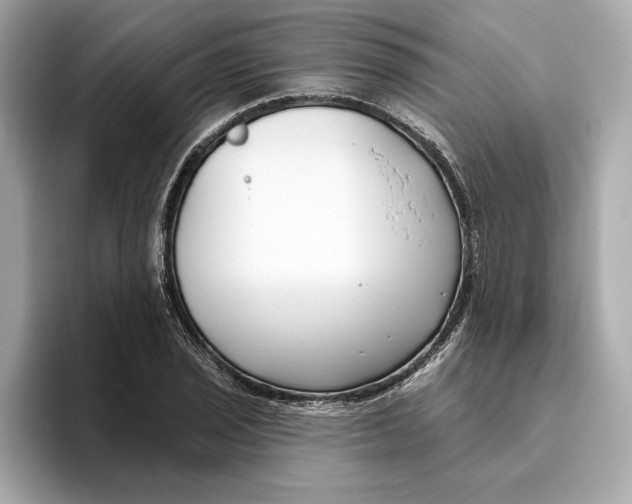 X0000096451029200802141508