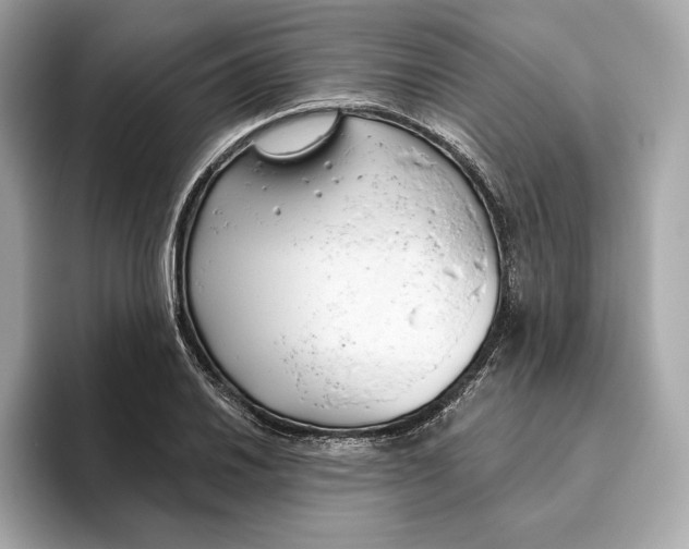 X0000096451030200802141508