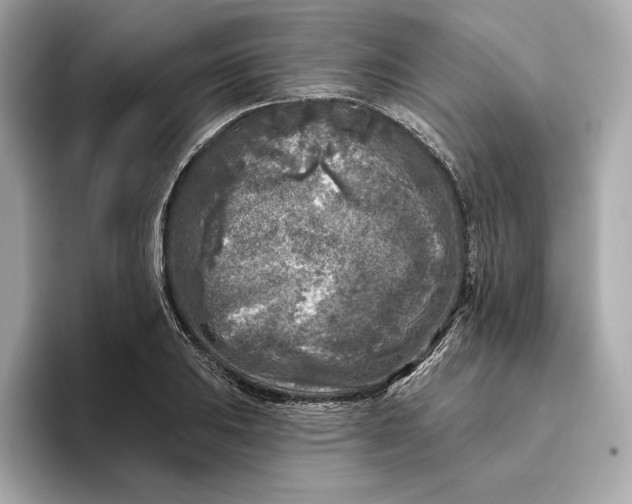 X0000096451031200802141508