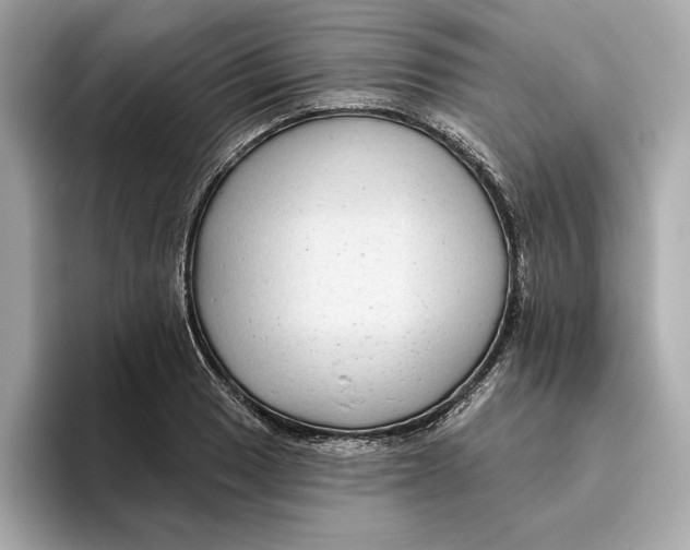 X0000096451033200802141508