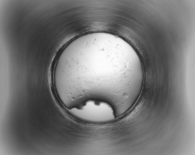 X0000096451034200802141508