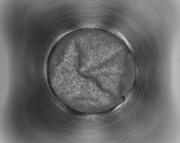 X0000096451035200802141508