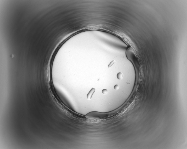 X0000096451036200802141508