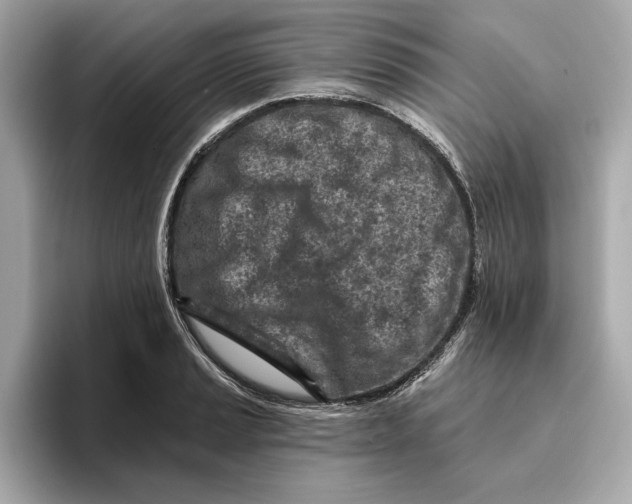 X0000096451037200802141508