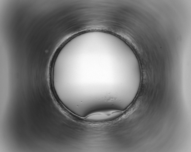 X0000096451038200802141508