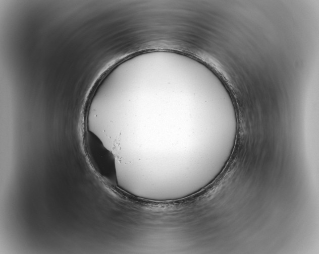 X0000096451040200802141508