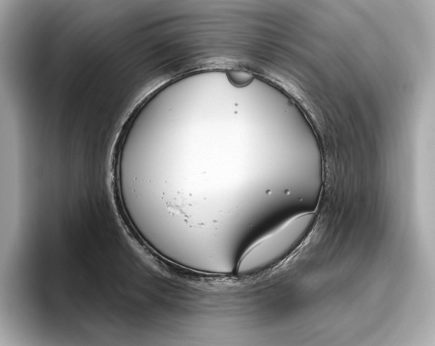 X0000096451042200802141508